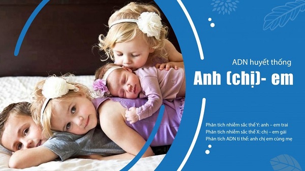Xét nghiệm ADN anh/chị/em