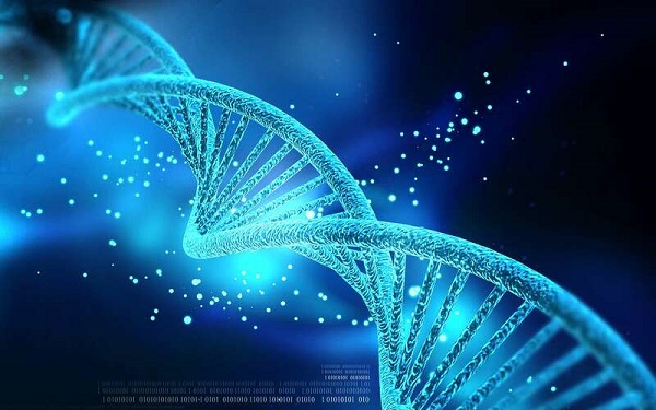bảng giá xét nghiệm ADN làm khai sinh